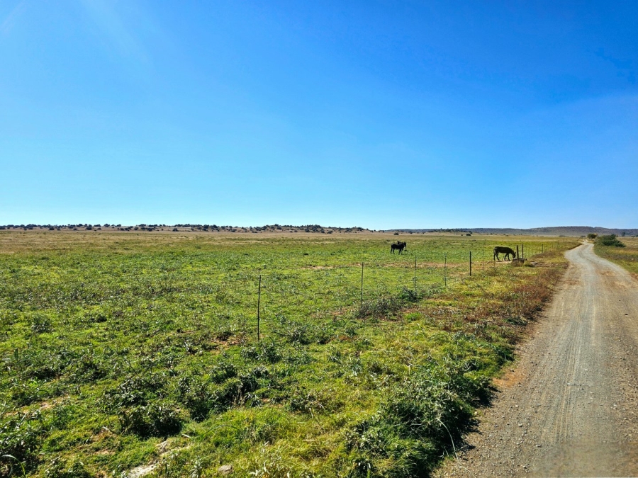 4 Bedroom Property for Sale in Bloemfontein Rural Free State